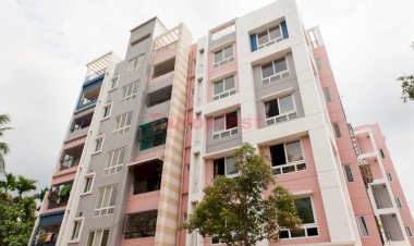 Why Are UPVC Windows & Doors So Popular