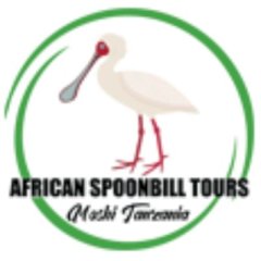 africanspoonbilltours